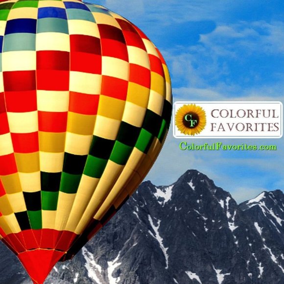 Floral Embellished Black Sun Hat - Picture 6 of 9